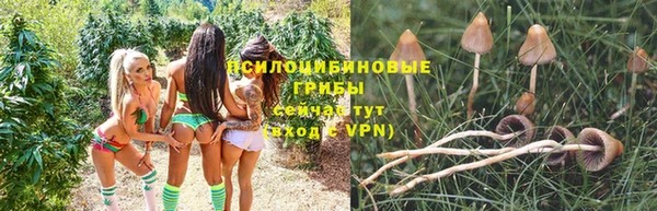 синтетический гашиш Богородицк