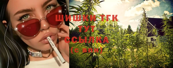 крисы Богданович